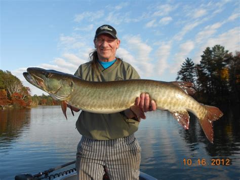 Wisconsing Fishing Finder Will (Maybe) Put You On The Bite.